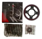 Kit De Arrastre Yamaha Libero Ybr 125 110 14-43t 428h-124l-4h - Imagen 4